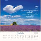 „Aus seinem Reichtum hat er uns beschenkt, …“, September 2027 Kalenderblatt, blühendes Lavendelfeld, blauer Himmel.