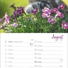 "August" in lila Schrift, Kalenderblatt mit Wochentagen und Feiertagen. Oben eine Katze mit Blumen.