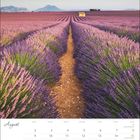 Kalenderseite für August mit Wochentagen und Daten. Ein Lavendelfeld bis zum Horizont, Berge im Hintergrund.