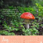 Zitat von Goethe: „Das Glück tut's nicht allein...“. Kalender für August. Ein roter Fliegenpilz im grünen Wald.