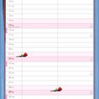 Kalender mit Daten im August und Feiertagen. Unten Illustration von zwei entspannten Schweinen am Strand.