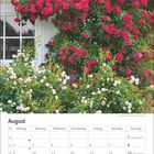 Kalender für August mit rot blühenden Kletterrosen an einer Hauswand.