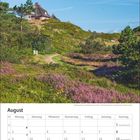 "August, Kalender mit Reetdachhaus und Heidekraut auf Sylt. Wochen und Tage sind aufgelistet. Malerische Landschaft."