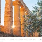 Text: "AUGUST", darunter Kalendertage. Antike Tempelsäulen im Sonnenlicht, daneben blühender Baum.