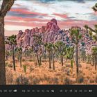 Augustkalenderseite mit einem Wüstenbild: Steine, Joshua-Bäume, orangener Himmel bei Sonnenuntergang.