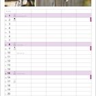 August-Kalender: "Zaunkönig" - Britisch Kurzhaar, Silver Tabby. Bilder von Kätzchen auf einem Holzzaun. Feiertage: 1.8. Nationalfeiertag.