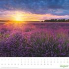 Kalenderseite für August mit Lavendelfeld im Sonnenuntergang. Feiertage: 1.8. (CH), 15.8. Mariä Himmelfahrt.