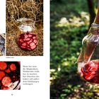 Zwischen Juni und August leuchten Zirbenzapfen. Glas mit roten Zapfenstücken. Hand hält Glas im Wald.