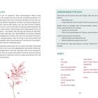 Links: "NEULICH", rechts: "ANREGUNGEN FÜR DICH", "GEBET". Unten: ein blühender Zweig. Seitenzahlen: 118 und 119.