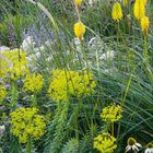 Kalenderseite für August 2021 mit gelber Acht im Logo. Farbige Blumen und Gräser in einem lebhaften Garten.