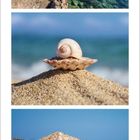 Zahlen von 1 bis 31. Drei Küstenbilder mit Boot, Muschel auf Sand und einem Schirm mit Bank am Strand. Kalenderstil mit August.