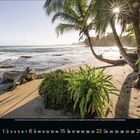 Kalenderseite für August 2023. Strand mit Palmen und Sonnenlicht, Wellen im Hintergrund.