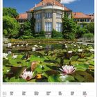 August 2027 Kalenderblatt mit Seerosen, einem historischen Gebäude im Hintergrund und Bäumen.