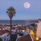 Stadtansicht mit roten Dächern, einer Palme im Vordergrund, einem großen Vollmond und einem Meer im Hintergrund bei Dämmerung.