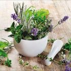 Kräuter wie Basilikum und Lavendel in einem weißen Mörser mit Stößel auf Holztisch arrangiert.