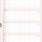 Kalenderblatt für August 2027, mit Wochentagen und Notizen. Oben bunte Deko mit Pflanzen und Büchern, unten rosa Hintergrund.