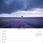 August 2027, Lavendelfeld in Valensole, Provence, Frankreich. Kalender mit Wochentagen: Montag bis Sonntag.