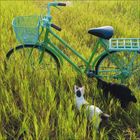 Ein türkisfarbenes Fahrrad steht in einem grünen Feld, umgeben von hohem Gras. Zwei Katzen, eine schwarz und eine weiß, sitzen daneben.