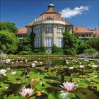 Ein gepflegter Garten mit einem großen Gebäude im Hintergrund. Viele Seerosen blühen auf einem Teich unter blauem Himmel.
