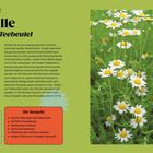Hack Nr. 32, Kamille aus dem Teebeutel. Informationen über Kamillentees und Tipps zum Anbauen mit Materialien. Rechts Kamillenblüten.