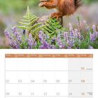 Kalender für August 2027, mit einem Eichhörnchen, das auf einem Baumstamm neben Farn und lila Blumen sitzt.
