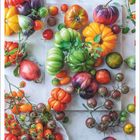 "August" steht unten. Verschiedenfarbige Tomaten in Grün, Orange, Rot und Lila auf hellem Hintergrund.