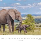 Text: "Afrikanische Elefanten (Loxodonta africana)". Ein großer Elefant mit Kind in einer Savanne. Im Hintergrund weite Landschaft.