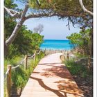 Kalenderblatt für August 2027. Holzweg führt durch grüne Vegetation zum Meer. Hellblauer Himmel, umrahmt von Bäumen.