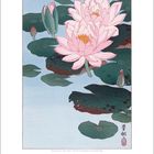 Text: "8 | 2027" und eine Kalendertabelle. Illustration: Rosa Seerosen mit grünen Blättern auf Wasser.