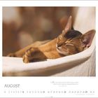 August-Kalenderblatt mit Zitat "Man verschlafe ruhig die Hälfte seines Lebens..." über schlafender Katze in Hängematte.