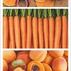 Text: "August". Zeigt Kürbisscheiben, Möhren und Aprikosen; darunter Kalender mit Augustdaten.