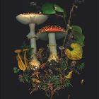 Kalenderseite: "8". Zwei rote Fliegenpilze, umgeben von verschiedenen Blättern, Beeren und kleineren Pilzen.