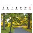 "Juli, 27. Woche, 21.6.-22.7., 5.-11. Montag bis Sonntag. Central Park in Manhattan. Ein Weg im Park mit Bäumen und Laternen."
