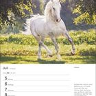 Juli-Kalenderbild. Text: Aufgabe des Lebens, seine Bestimmung, ist Freude... 
Ein weißes Pferd galoppiert auf einer Wiese im Sonnenlicht.