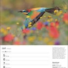 Kalenderseite für Juli, 27. Woche, mit einem lebhaft gefärbten Bienenfresser im Flug über eine blühende Wiese.