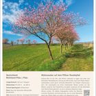 "Blütenzauber auf dem Pfälzer Mandelpfad", Pfälzer Mandelpfadkarte, blühende rosa Mandelbäume, blauer Himmel, Wiese, März.