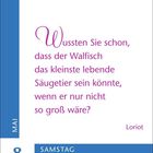 „Wussten Sie schon, dass der Walfisch das kleinste lebende Säugetier sein könnte, wenn er nur nicht so groß wäre?“ - Loriot. 

Links: „MAI 8 SAMSTAG“ in Blau.