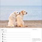 Juli, 27. Woche. Labrador Retriever. Zwei Hunde sitzen am Strand nahe am Wasser, einer legt den Kopf auf den anderen.