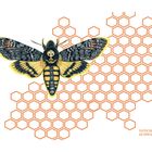 Text: Totenkopf-Schwärmer. Illustration: Eine detailreiche Motte mit Totenkopfmarkierung über orangen Wabenstrukturen.