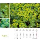 August-Kalenderblatt mit gelb-grünen Blütenpflanzen, Wochentage und Daten unten.