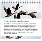Der Text ermutigt, sich nicht mit negativen Ereignissen zu identifizieren. Im Hintergrund sind fliegende Gänse abgebildet.