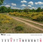 Mai 2027 Kalender; "Ginstervlüte in der Wahner Heide bei Rösrath"; sandiger Weg, grüne Wiese, gelber Ginster, blauer Himmel.