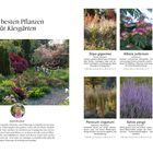 Die besten Pflanzen für Kiesgärten. Stipa gigantea, Albizia julibrissin, Choisya ternata. Verschiedene Gartenpflanzen abgebildet.