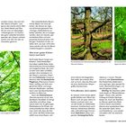 **Kletterbäume – der natürlichste Spielplatz im Garten!** Ein Kletterbaum ist das Gegenteil vom »Spielgerät« der Stange.