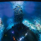 Ein großes, rundes Aquarium mit bunten Korallenriffen und Menschen auf einer Plattform, die darunter die Unterwasserwelt betrachten.