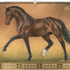 "Escamillo", Juli-Kalender, zeigt ein trabendes braunes Pferd mit weißem Bein vor einem warmen, regenartigen Hintergrund.