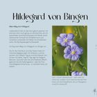 Hildegard von Bingen. Lein – Linum usitatissimum: Heil- und Nutzpflanze. Bild: Lila Blüten auf grünem Hintergrund.