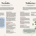 Wacholder, Eigenschaften, Anwendungen; Waldmeister, Eigenschaften, Anwendungen. Wacholderzweig und Waldmeisterpflanze abgebildet.