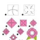 Text: "Die Rose." Eine Schritt-für-Schritt-Anleitung, Origami-Rose zu falten, mit Diagrammen in Weiß und Rosa.