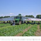 "STEIGER", "AGRAR", Kalender für August; Traktor auf einem Feld, Menschen arbeiten im Schatten einer Plane.
